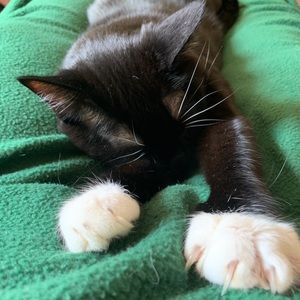 Meet your Posher, Katherine